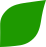 Uusi Lehti new leaf symbol